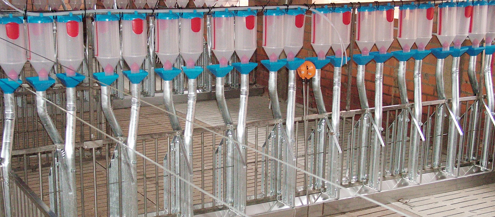 Feed dosing machines 4